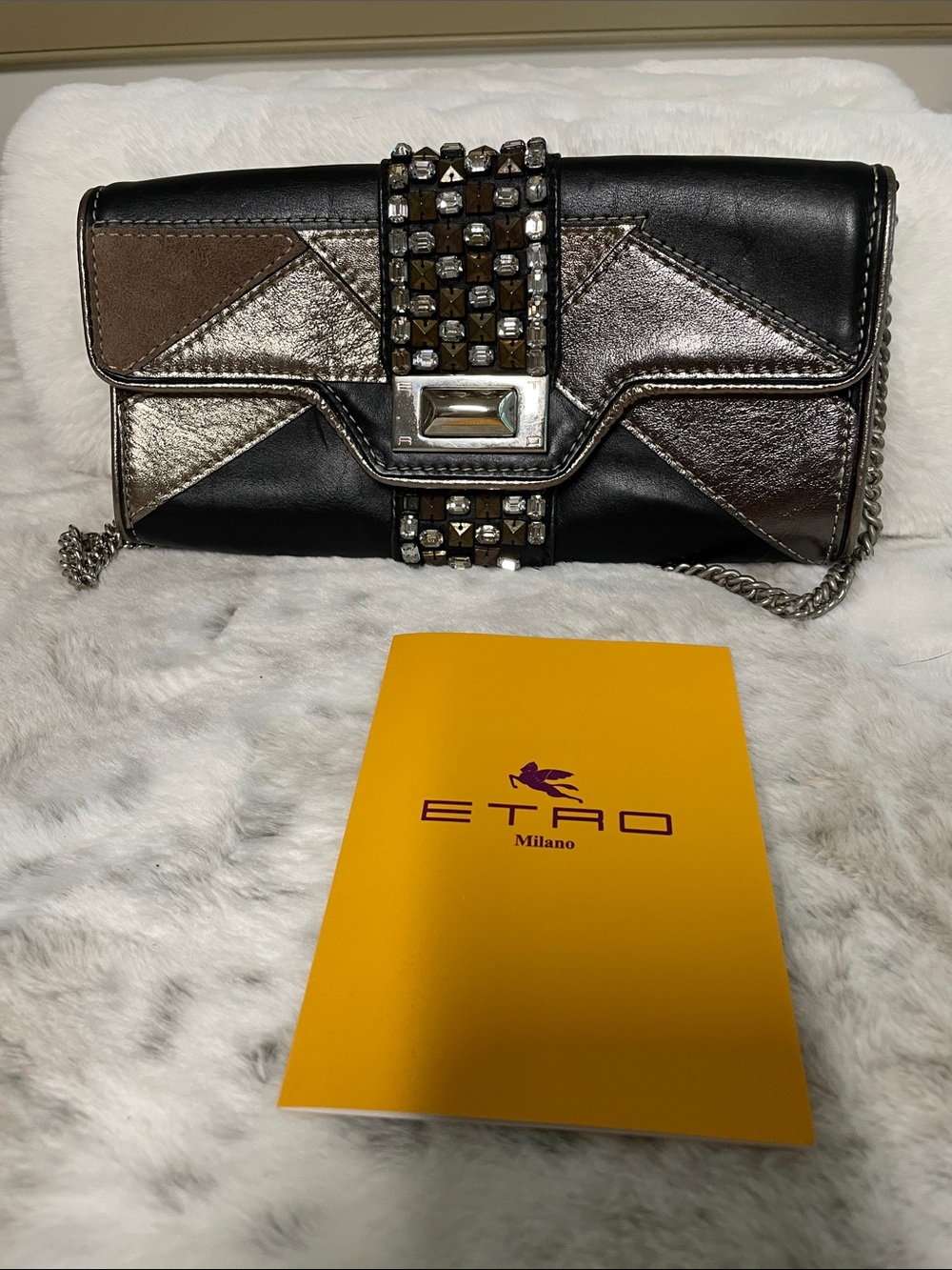 Etro Milano leather, and Crystal evening bag